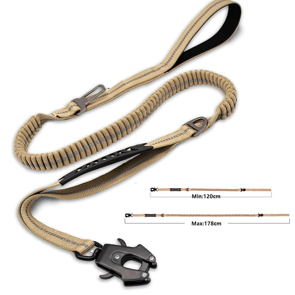 Reflective Bungee Dog Leash with Car Seat Belt