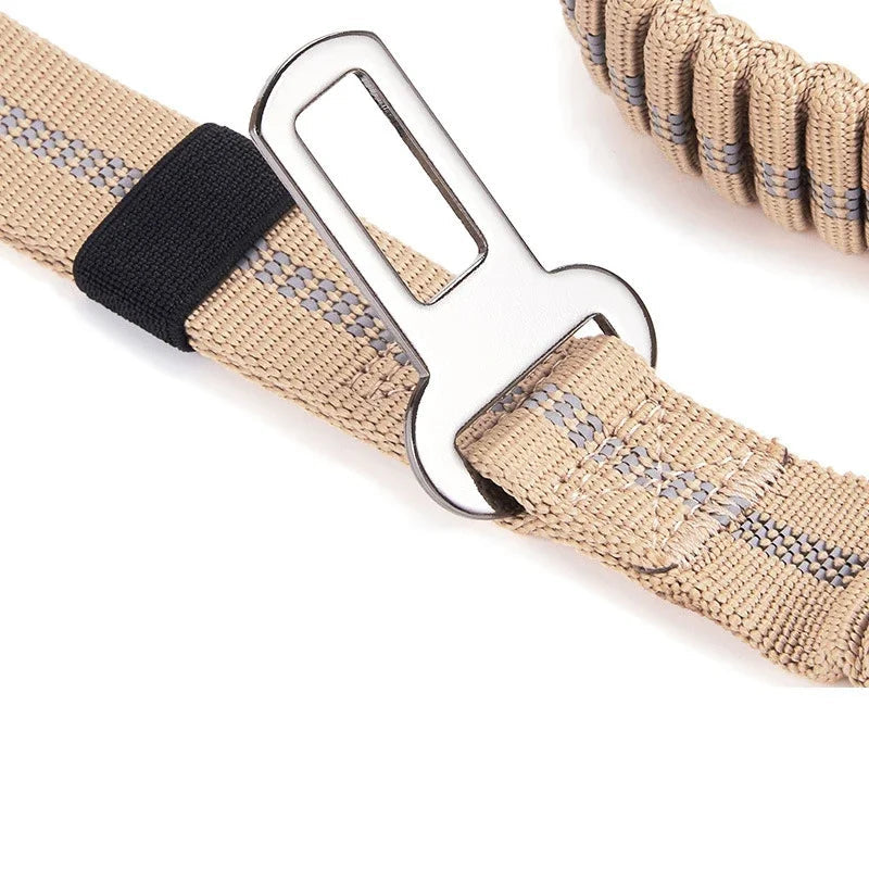Reflective Bungee Dog Leash with Car Seat Belt