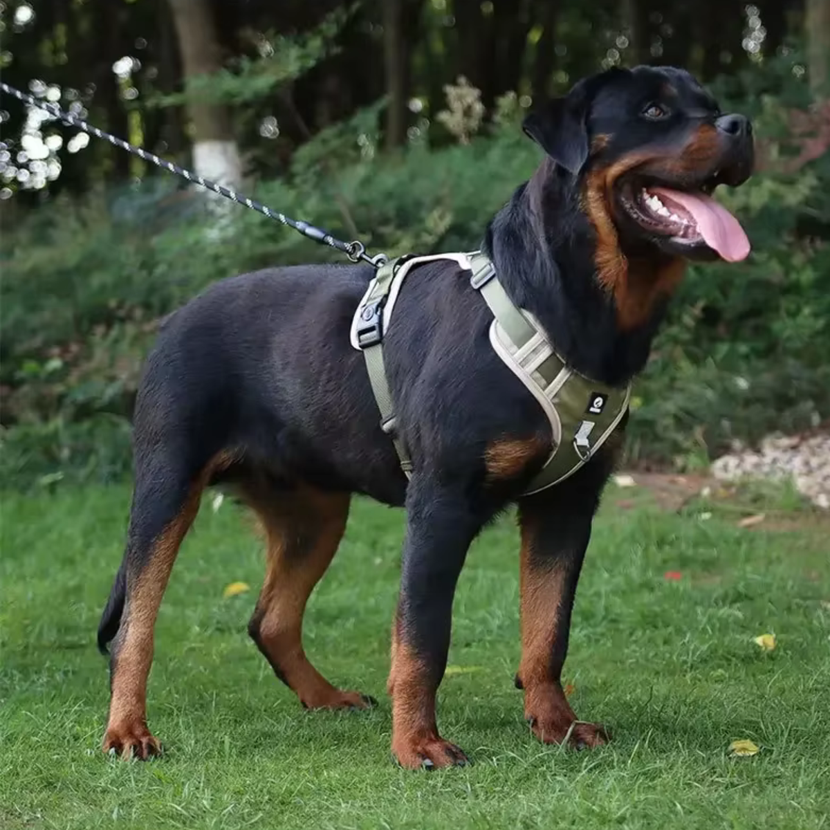Reflective No Pull Dog Harness - Khaki