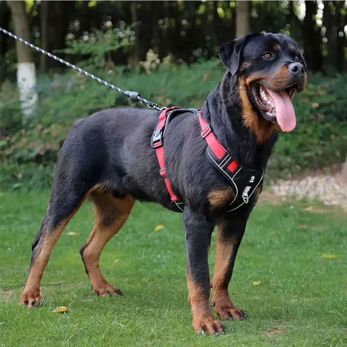 Reflective No Pull Dog Harness - Red