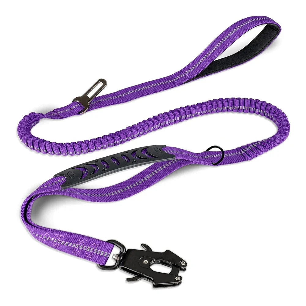 Reflective Bungee Dog Leash with Car Seat Belt