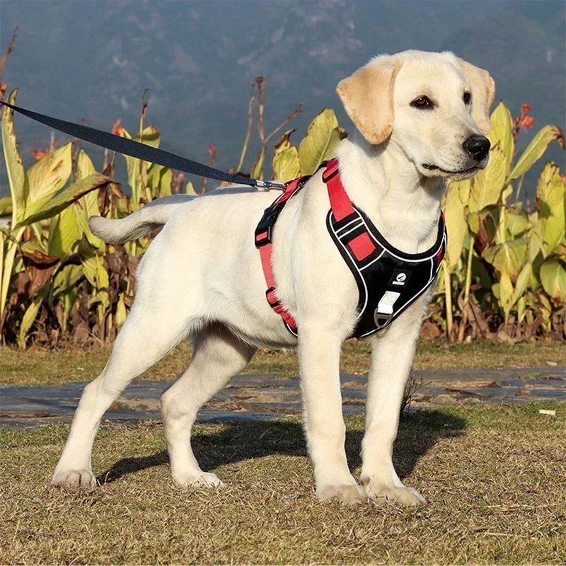 Reflective No Pull Dog Harness - Red