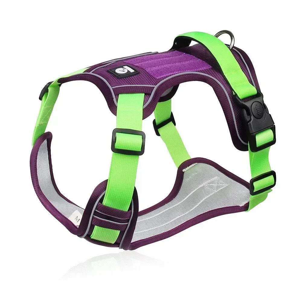 Reflective No Pull Dog Harness - Purple & Green