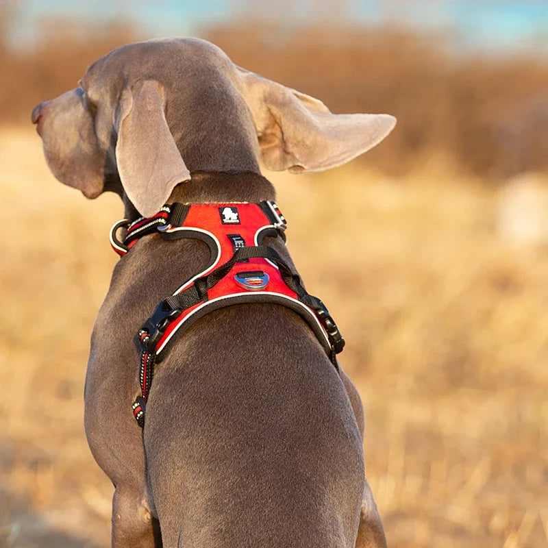 Reflective No-Pull Dog Harness.